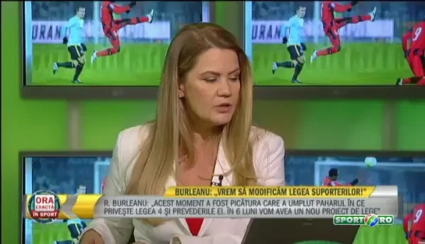 Galeriile de la Rapid, Steaua, Dinamo si Petrolul sunt de vina Cum se apara BGS dupa incidentele de la National Arena