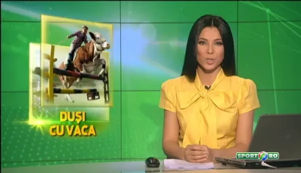 Cel mai nebun sport posibil! Cursa de oameni calare pe vaci! Ce a iesit e incredibil VIDEO