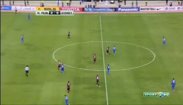 Mingea refuza sa intre in poarta!