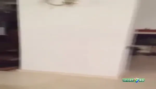 VIDEO: Imagini de senzatie in casa lui Reghe! Bebeto a inceput sa cante "Sunt fericit si ma simt bine": "E german si imi place" :)