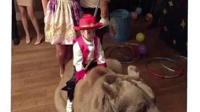 L-au pus sa PLIMBE URSUL la ziua lui. La propriu. Faza senzationala la o echipa de fotbal din Rusia