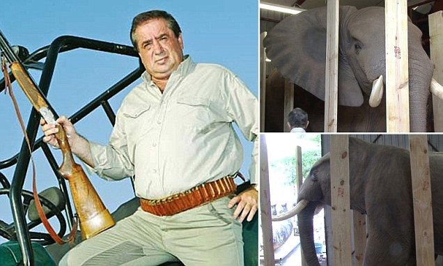 Ioan Niculae, pe prima pagina Daily Mail! Englezii sunt scandalizati dupa ce au aflat ca a IMPUSCAT un elefant si l-a impaiat!_6