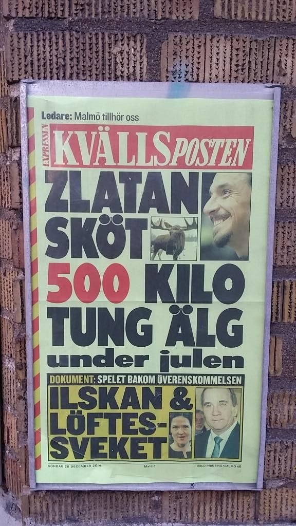 Zlatan a TRAS cu arma! ONG-urile au sarit pe el dupa ce a mers la vanatoare! Captura cu care a SOCAT Suedia:_2