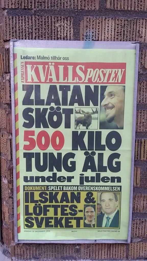 Zlatan a TRAS cu arma! ONG-urile au sarit pe el dupa ce a mers la vanatoare! Captura cu care a SOCAT Suedia:_2
