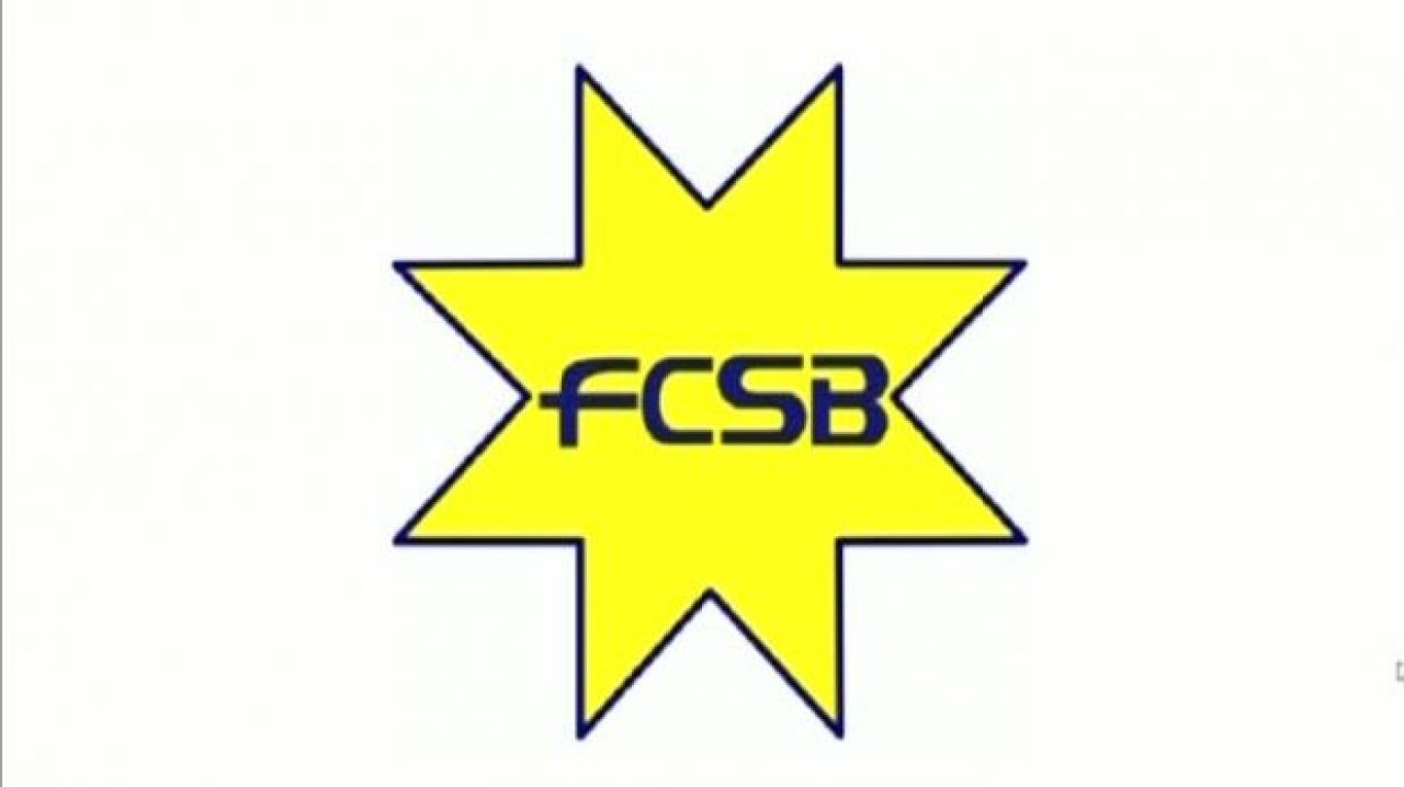 Emblema Stelei este istorie! Conducerea a inregistrat o noua emblema cu numele