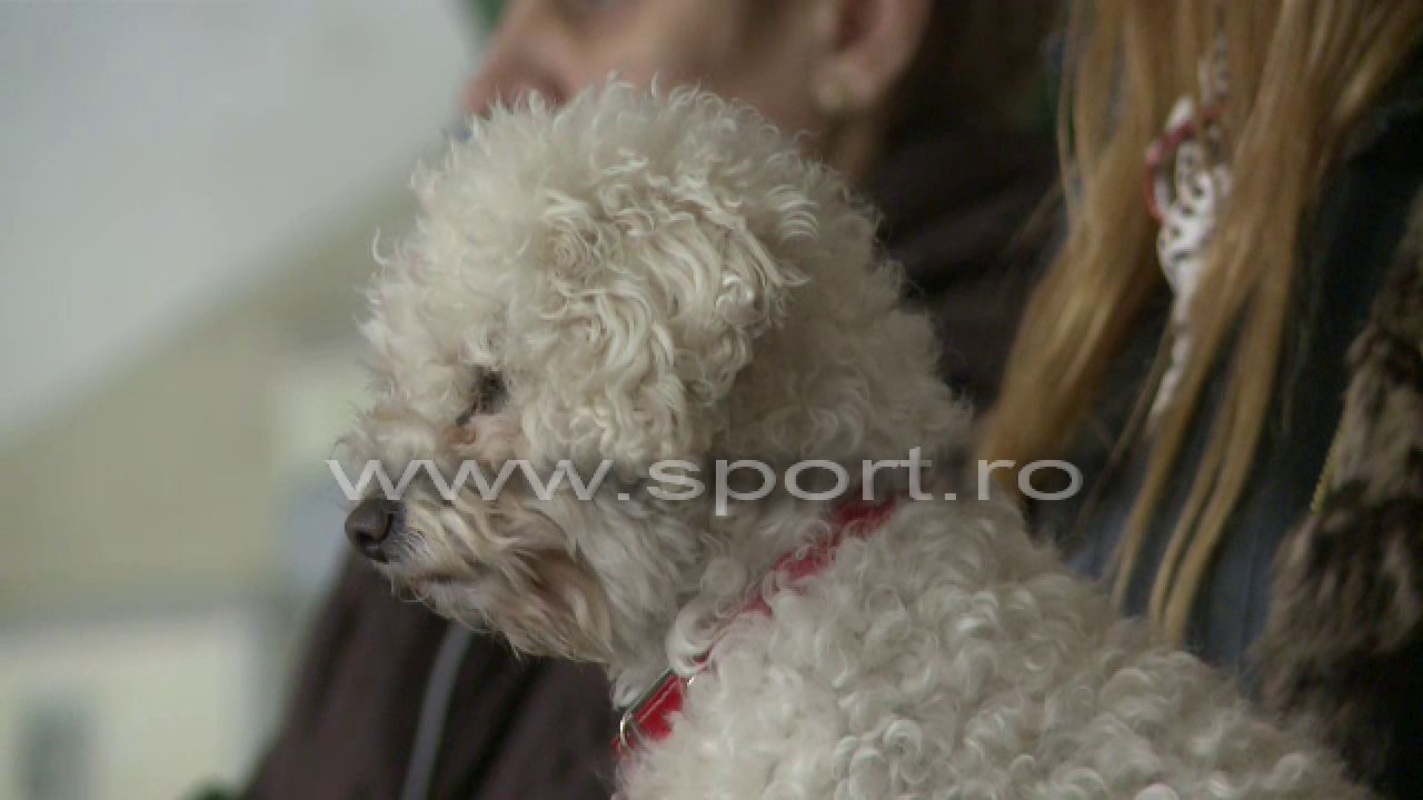 Imaginea zilei in Romania! Ce vedeta din Romania a venit cu CAINELE in tribuna la meci :) FOTO_2