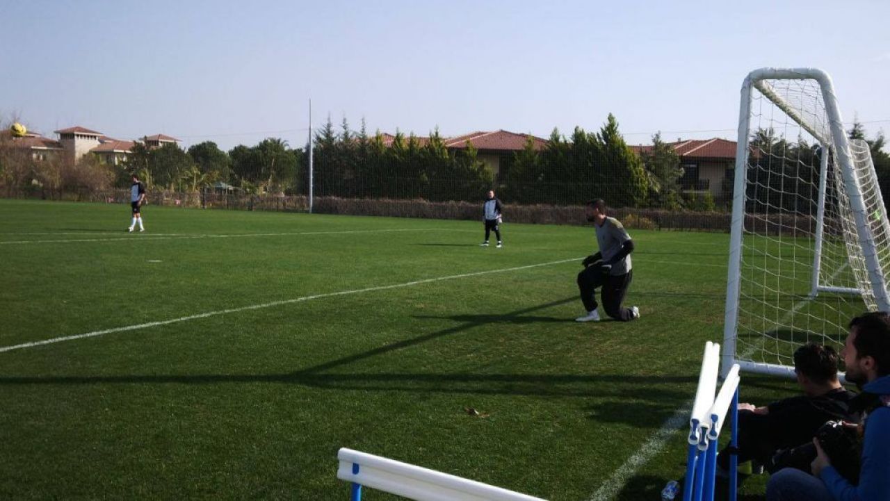 Ogararu & Co. prezinta:
