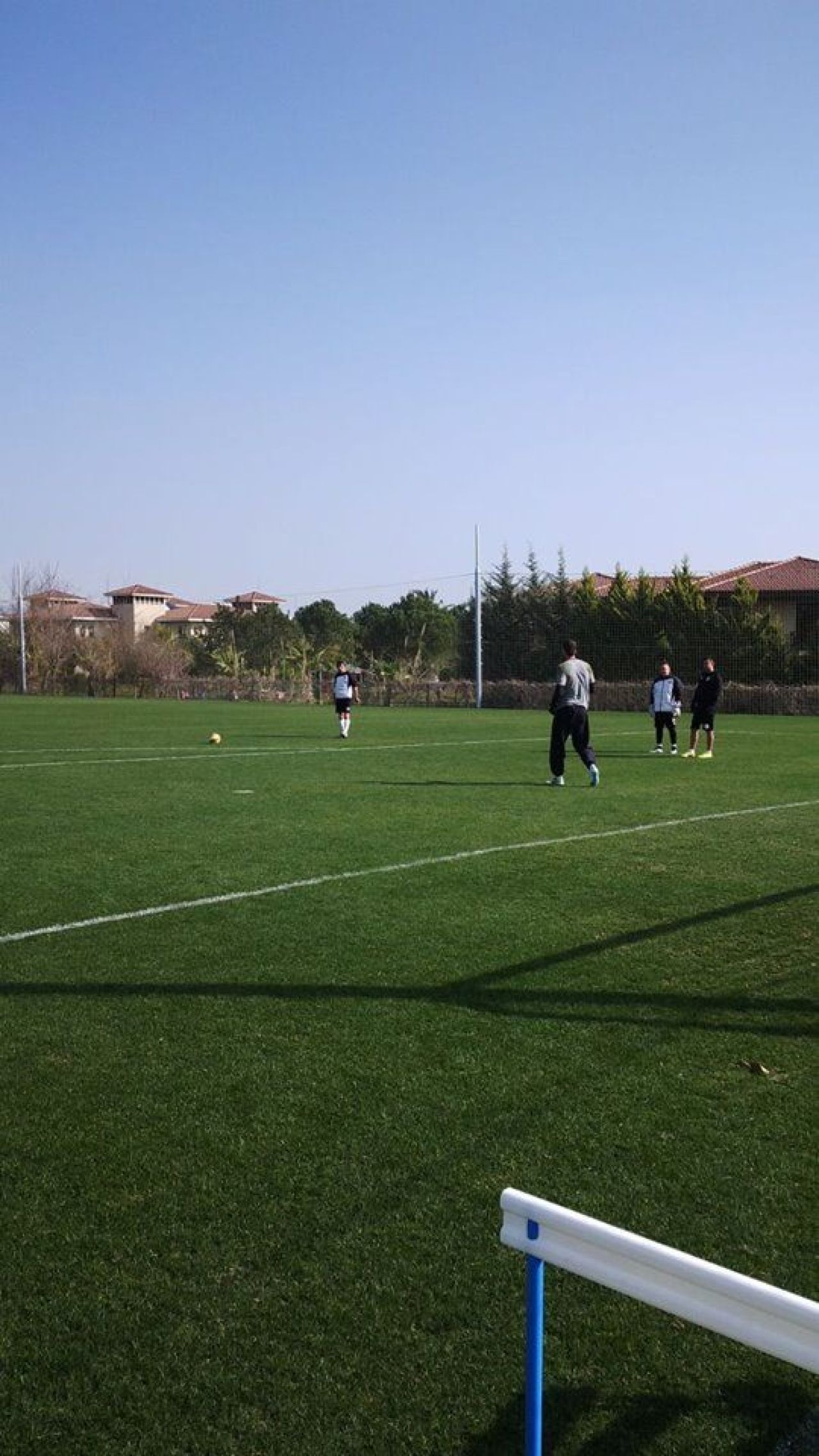 Ogararu & Co. prezinta: