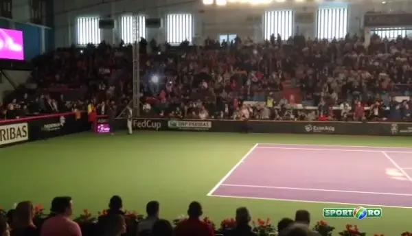 Pe ce melodie a intrat Simona Halep pe teren la Fed Cup