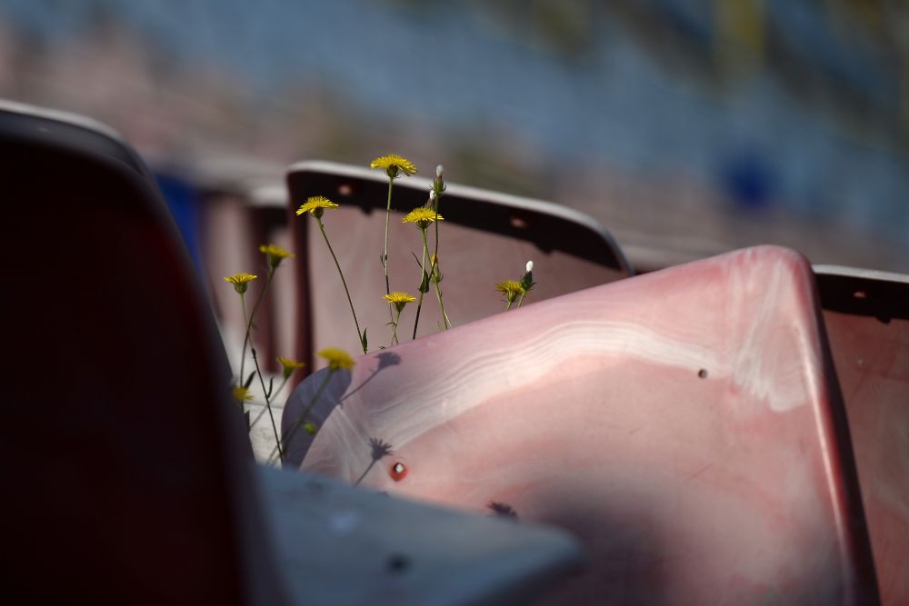 Ghencea, pericol PUBLIC! Stadionul Stelei e o amenintare pentru suporteri! Ce se intampla acum