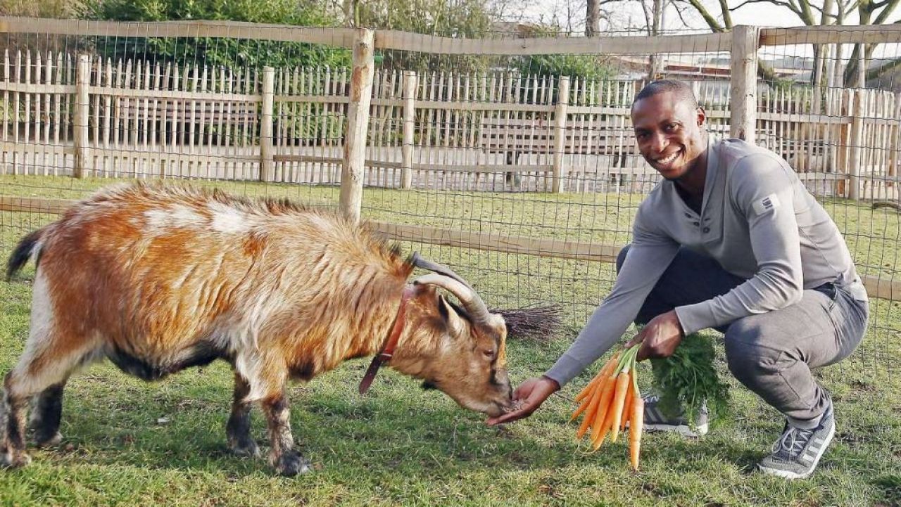 Anthony Ujah si-a luat revansa pentru gestul din weekend! Fotbalistul de la Koln s-a imprietenit din nou cu TAPUL mascota al clubului :) FOTO_2