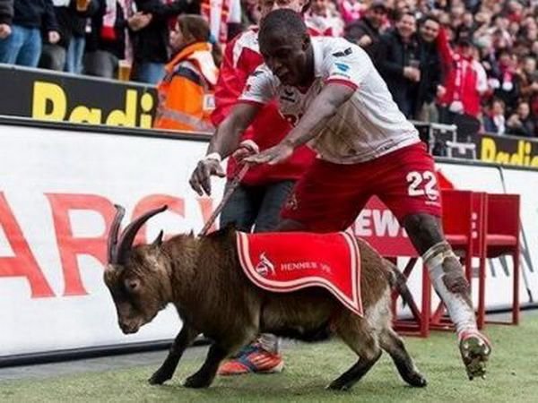 Anthony Ujah si-a luat revansa pentru gestul din weekend! Fotbalistul de la Koln s-a imprietenit din nou cu TAPUL mascota al clubului :) FOTO_3