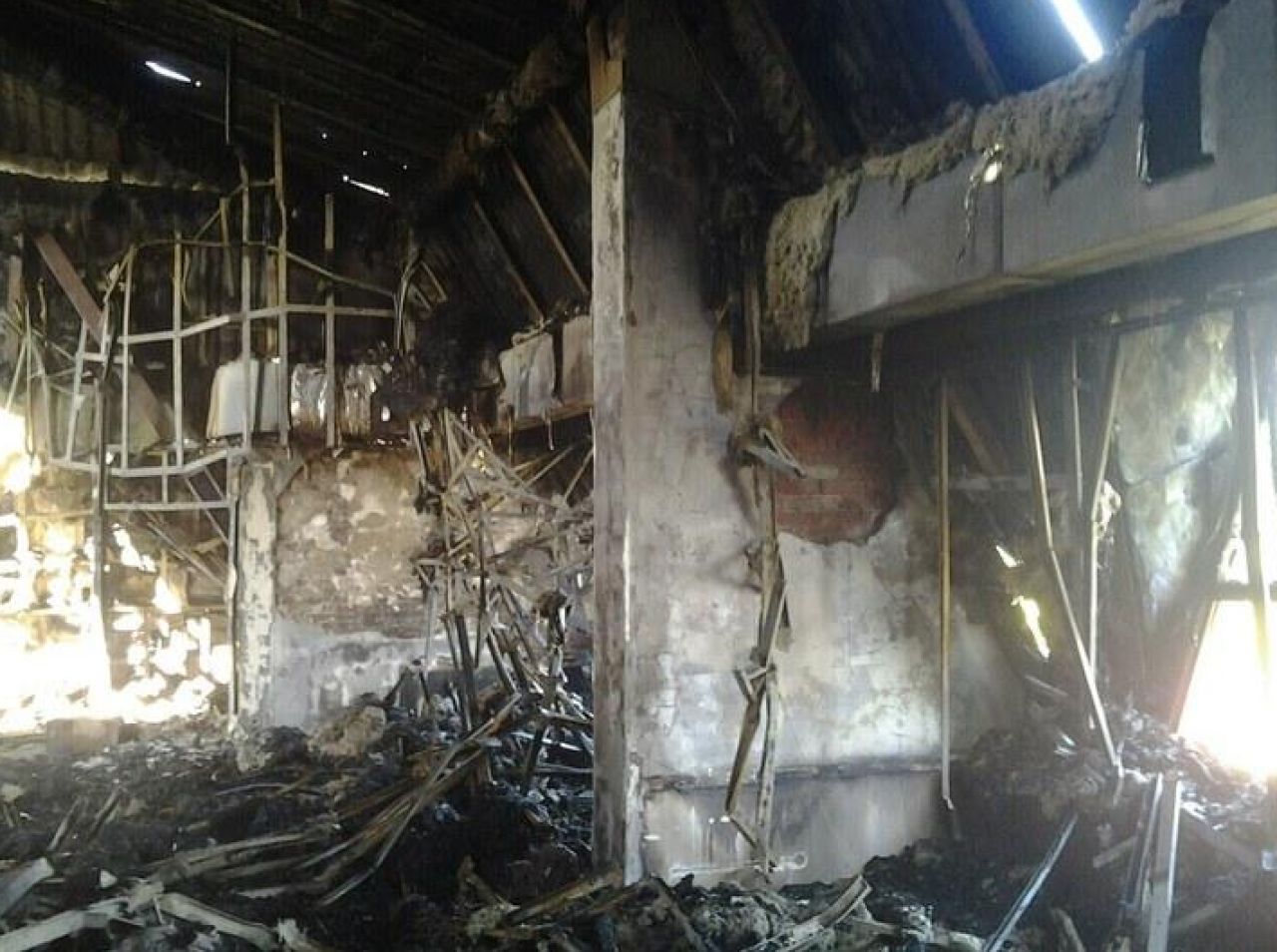 Un diamant intre haldele de steril | Ciobit de razboi, Sahtiorul lui