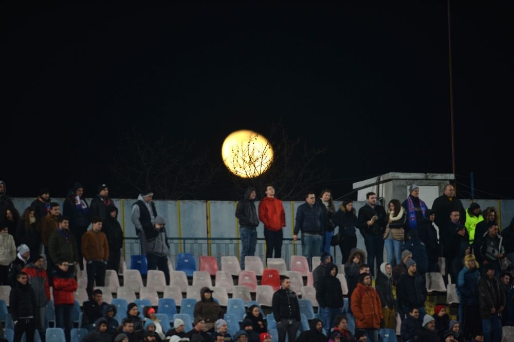 Steaua are si ea un 'lup singuratic' in tribune! Cine e barbatul pazit de zeci de Jandarmi la Targu-Jiu!