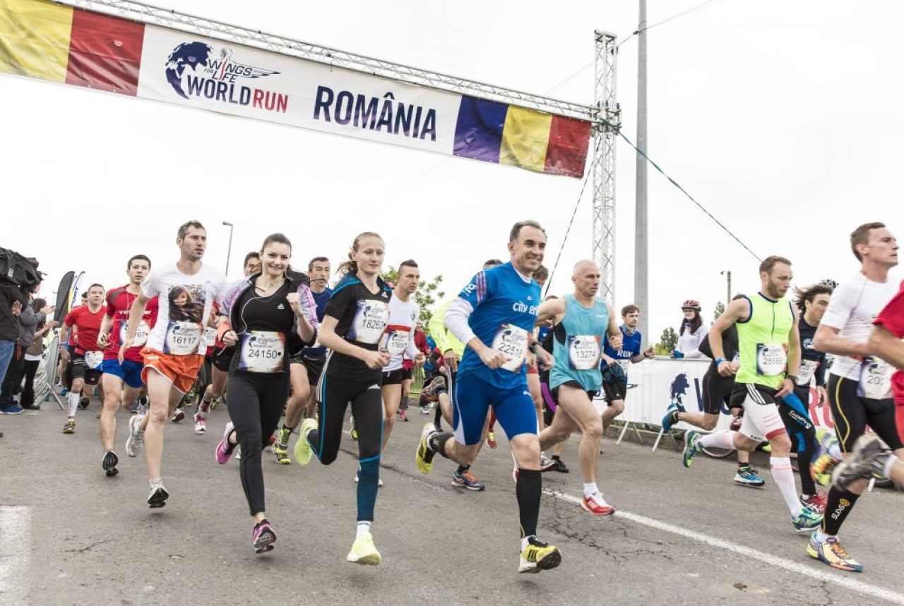 ALERGAM PENTRU CEI CARE NU POT! Wings For Life, din nou in Romania! Cele mai tari imagini de anul trecut. FOTO_9