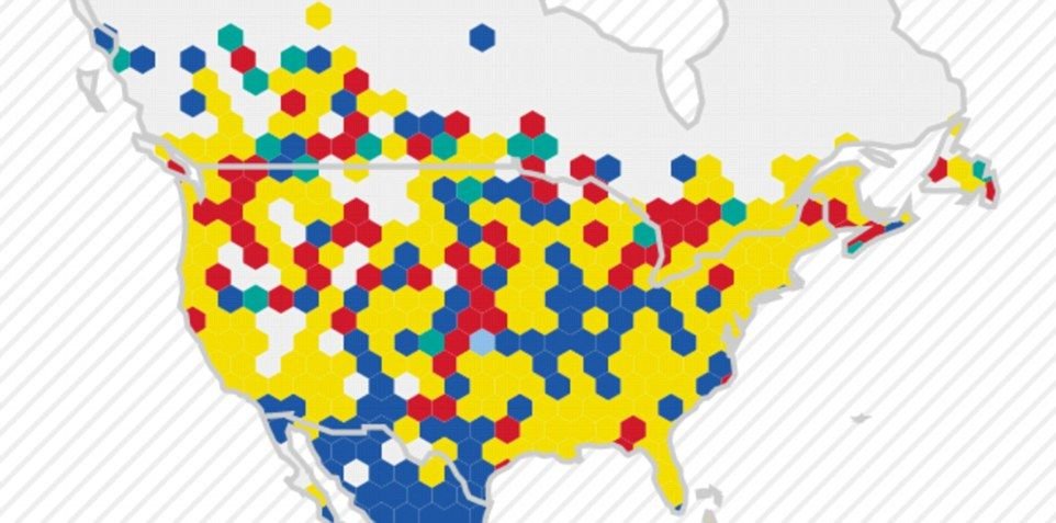 Arsenal si Chelsea au Europa si America, United e cea mai iubita in aglomerata Indie. Care e cea mai simpatizata echipa engleza in Romania_3