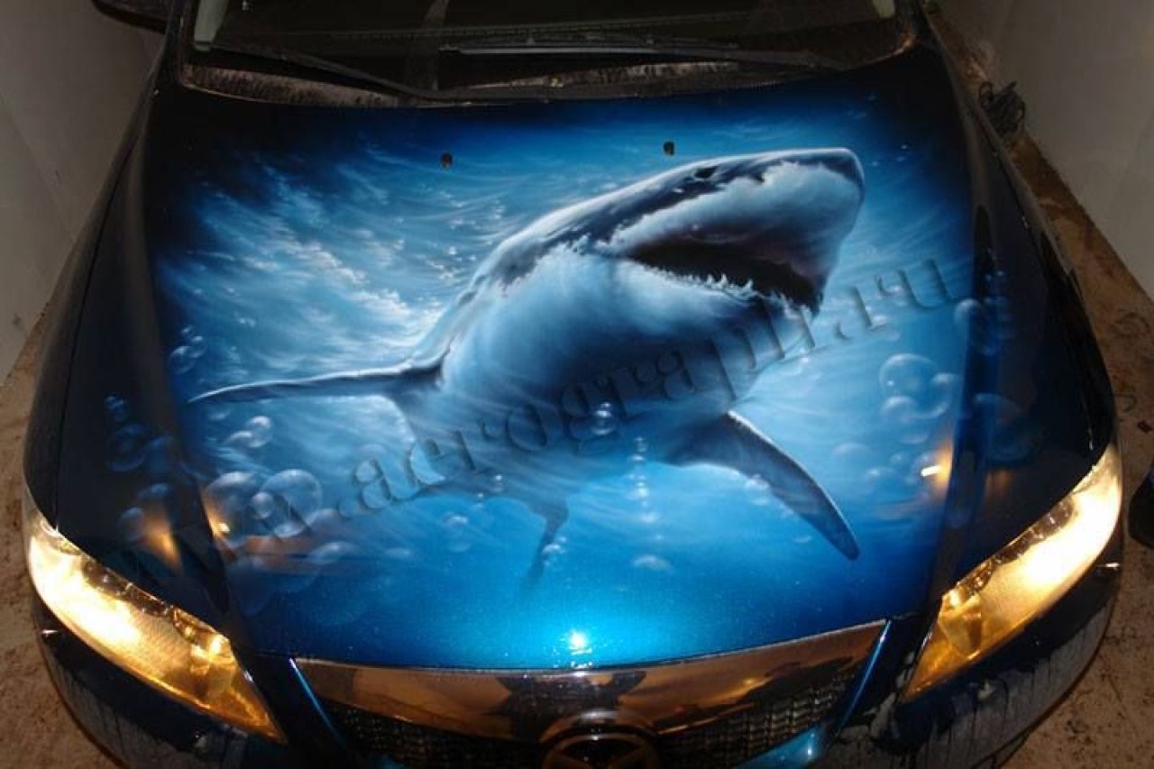 GALERIE FOTO impresionanta! Asta e cel mai tare tuning pe care poti sa ti-l faci la masina! Imaginile sunt reale_3
