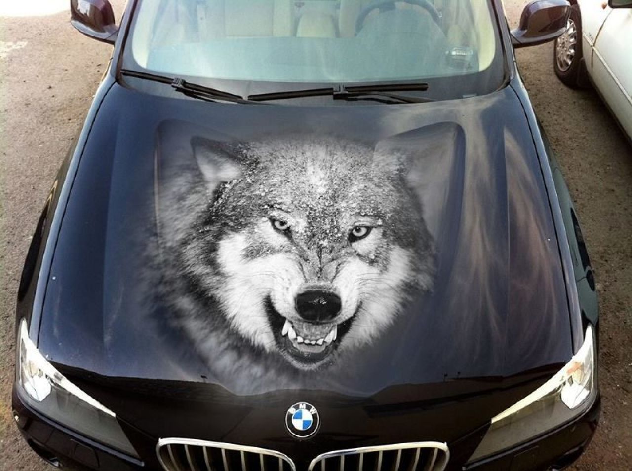 GALERIE FOTO impresionanta! Asta e cel mai tare tuning pe care poti sa ti-l faci la masina! Imaginile sunt reale_15