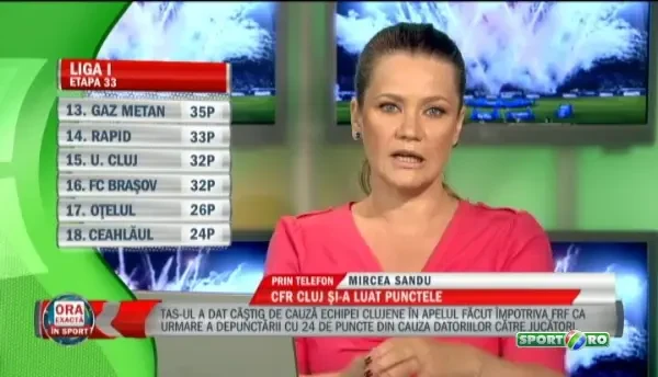 "Nu stiu daca FRF va mai continua!" Mircea Sandu explica situatia in care Federatia s-a trezit dupa decizia SOC luata de TAS