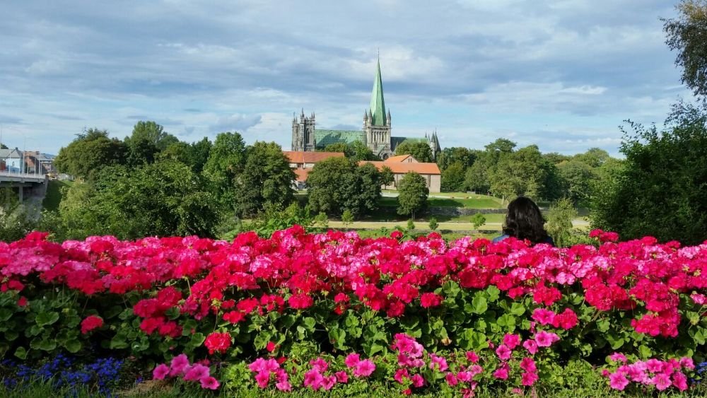 Cum arata PARADISUL in care stelistii vor sa produca marea minune. Trondheim, orasul in care oamenii se plimba cu taxi-uri TESLA si yachturi_2