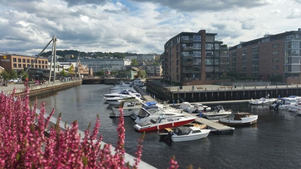 Cum arata PARADISUL in care stelistii vor sa produca marea minune. Trondheim, orasul in care oamenii se plimba cu taxi-uri TESLA si yachturi_6