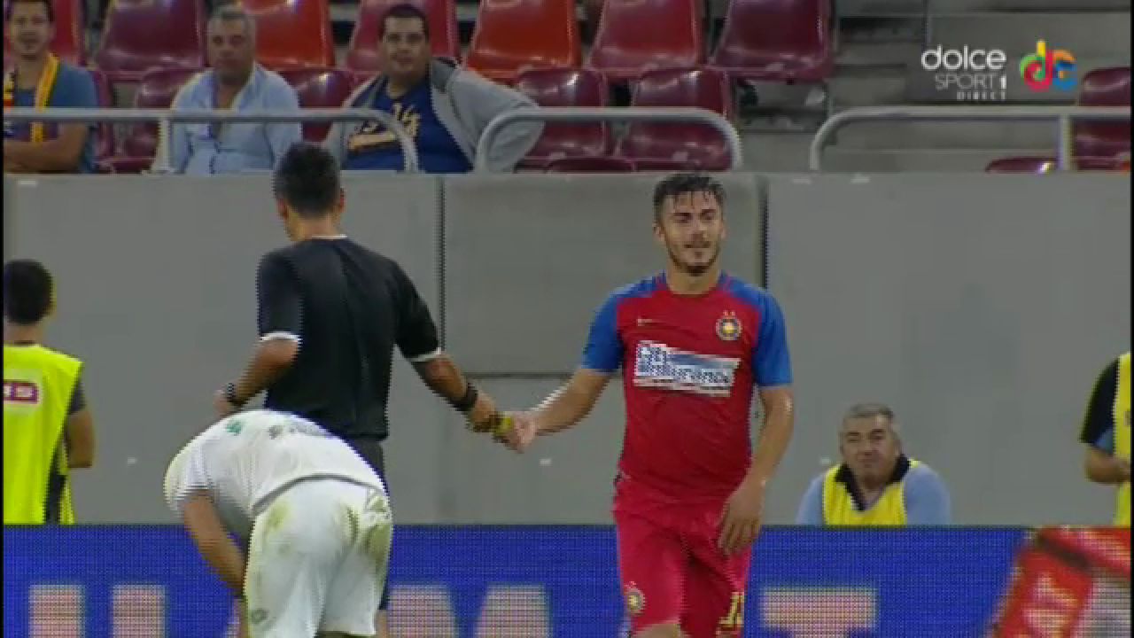 Toata lumea a inceput sa rada pe teren! Faza incredibila cu Tosca si arbitrul de la Steaua - Chiajna. FOTO_3