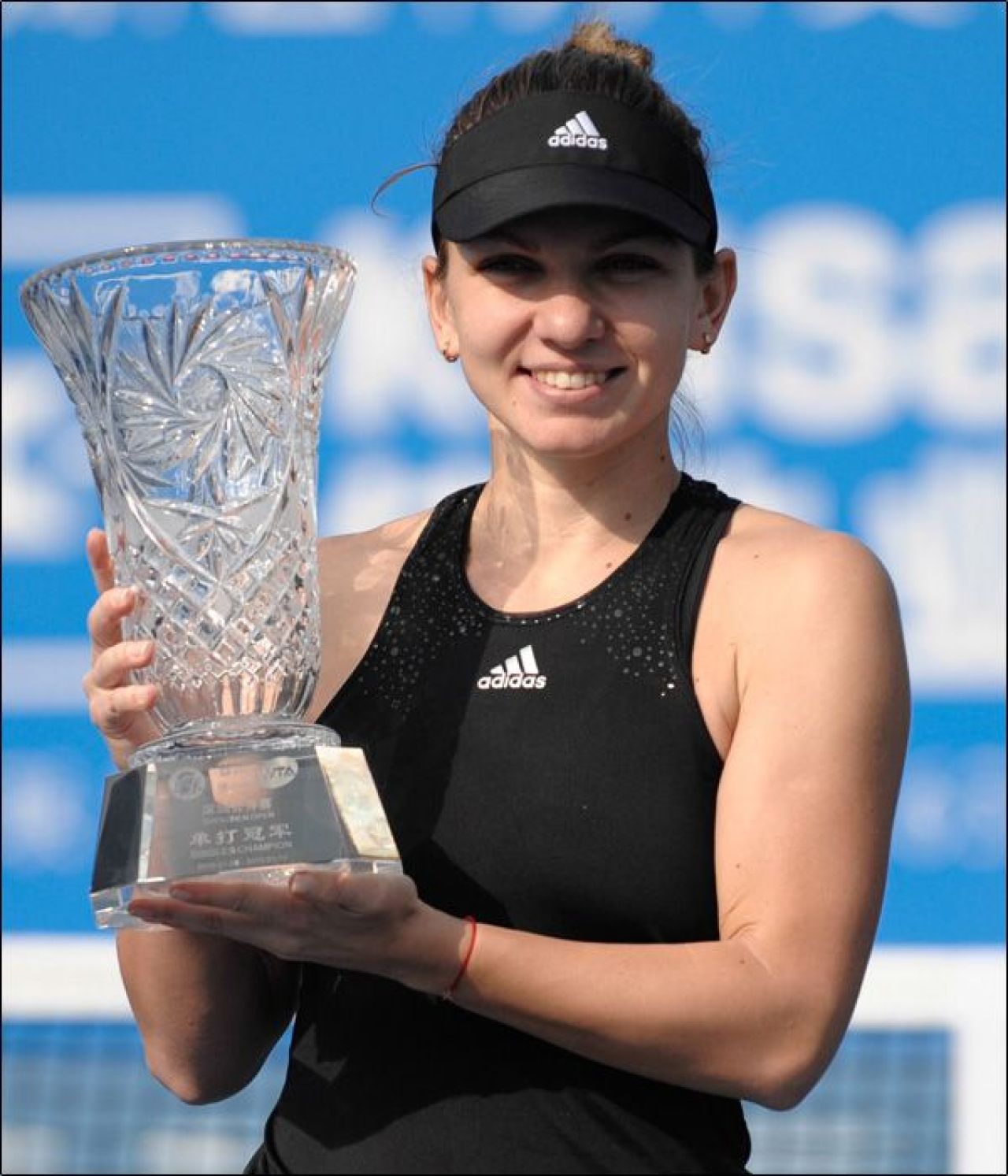 FOTO 11 trofee in 2 ani! Simona Halep, sarbatorita pe site-ul WTA! Ascensiunea FABULOASA pana la 24 de ani! _9