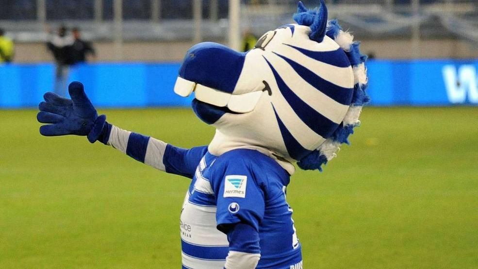 Scene incredibile in Germania! Mascota era in genunchi si urla de durere catre medici. Ce a patit