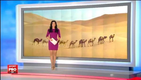 VIDEO | Cea mai nebuna demonstratie moto: printre camile, fetele frumoase le-au aratat pilotilor cum se manevreaza motoarele