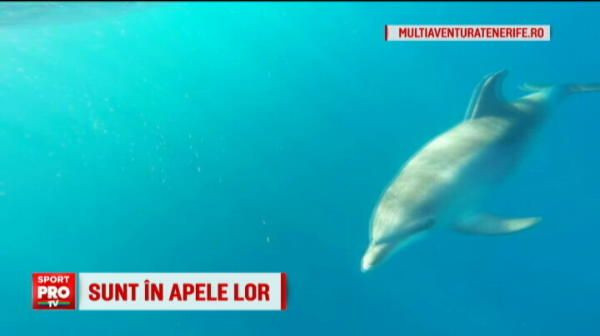 Romanii care traiesc TOATA viata ca pe o vacanta! Ce fac in fiecare zi si de ce ii cauta toata lumea