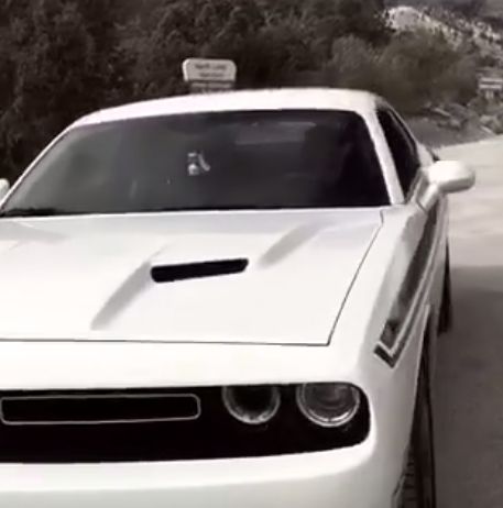 Cadoul senzational primit de romanul Ronald Gavril de la Floyd Mayweather, de Ziua Recunostintei. Ce