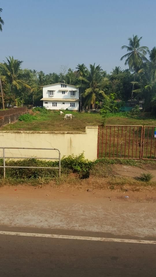 FOTO & VIDEO | Rapidistii, primiti cu mare entuziasm in India, dar uimiti de mahalalele in care stau milioane de oameni. Cum au fost intampinati_7