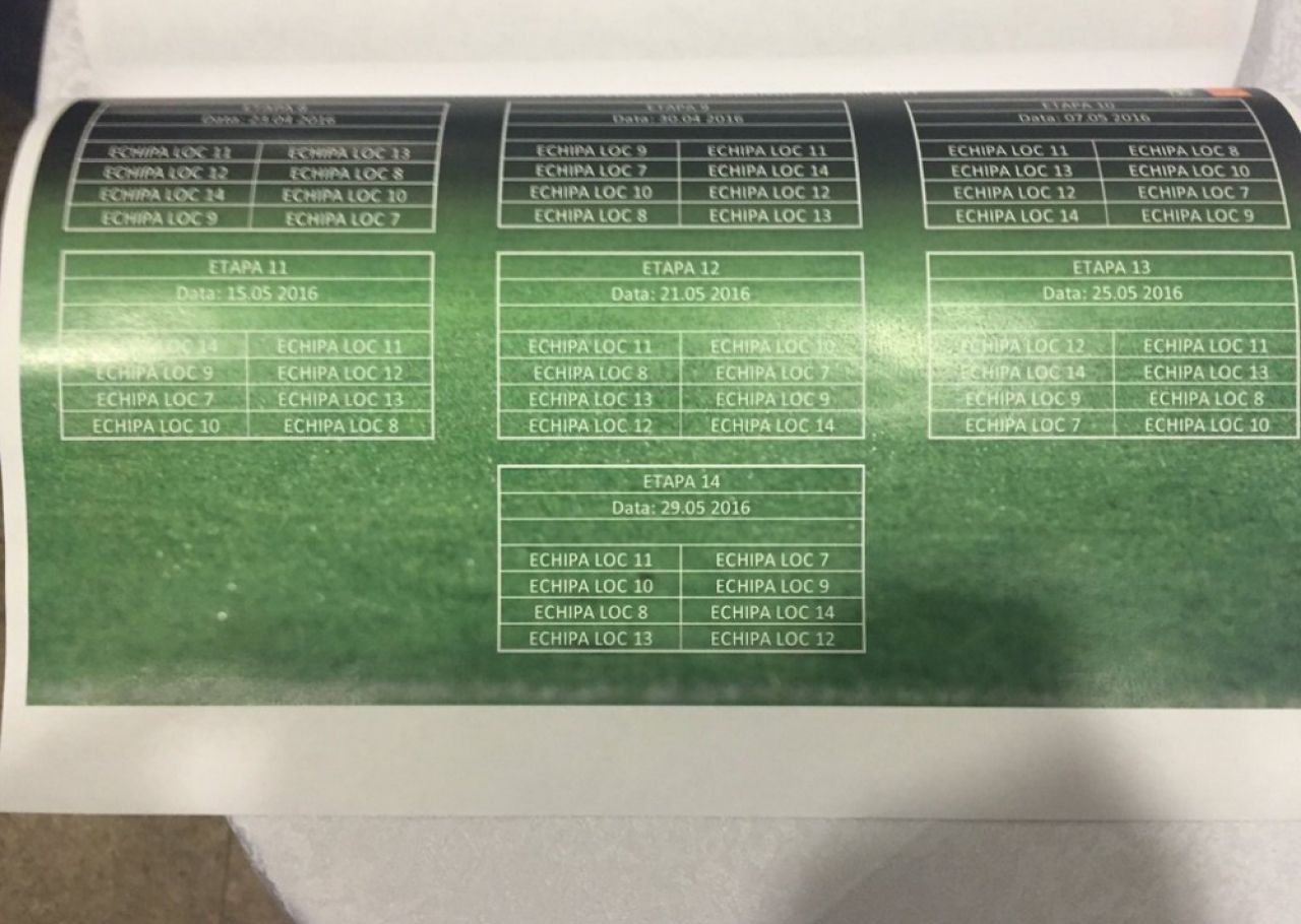 LPF a stabilit programul meciurilor din playoff si playout: Astra - Steaua in prima etapa, la clasamentul de azi_2