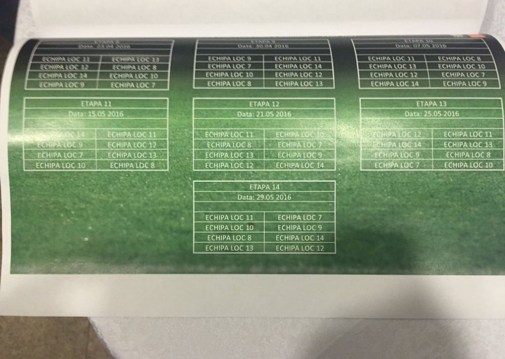 LPF a stabilit programul meciurilor din playoff si playout: Astra - Steaua in prima etapa, la clasamentul de azi_2