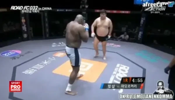 Adversarul lui Bob Sapp a inceput sa danseze in fata lui. Ce se intampla in secundele urmatoare e fabulos :)) VIDEO