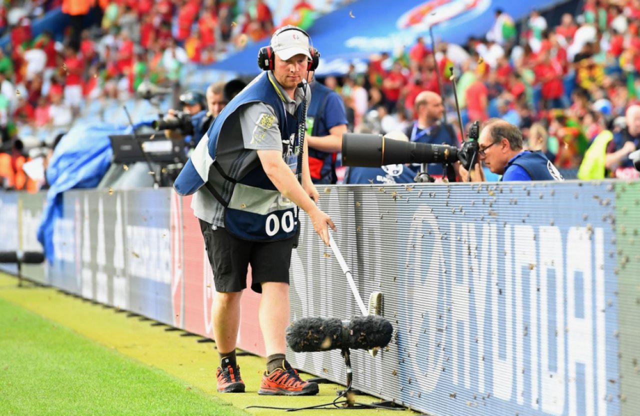 La atacul asta chiar nu s-a gandit nimeni! Invazie de molii pe Stade de France, lumea nu intelege ce se intampla! :) FOTO_1