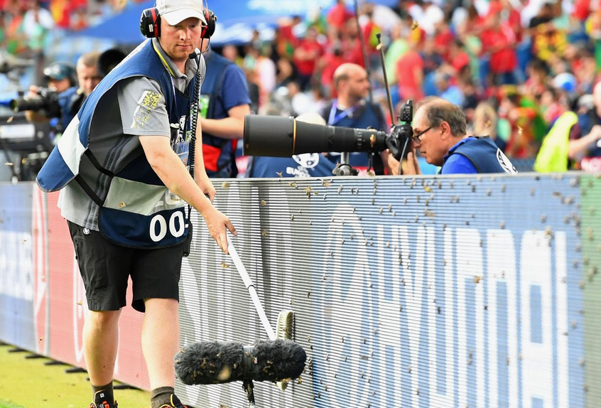 La atacul asta chiar nu s-a gandit nimeni! Invazie de molii pe Stade de France, lumea nu intelege ce se intampla! :) FOTO_5
