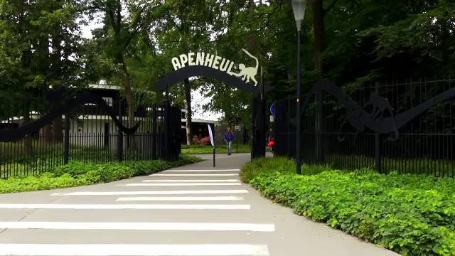Imaginile superbe de langa cantonamentul Stelei din Olanda! Atractia senzationala pentru jucatorii lui Reghe