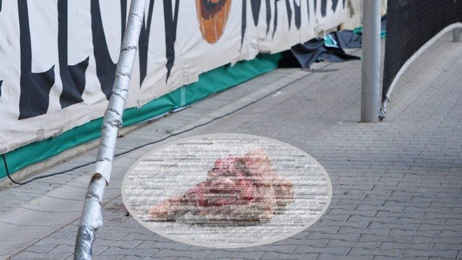 Gest socant al fanilor in Cupa Germaniei! Au aruncat un cap de animal in fata peluzei. Imagini dure
