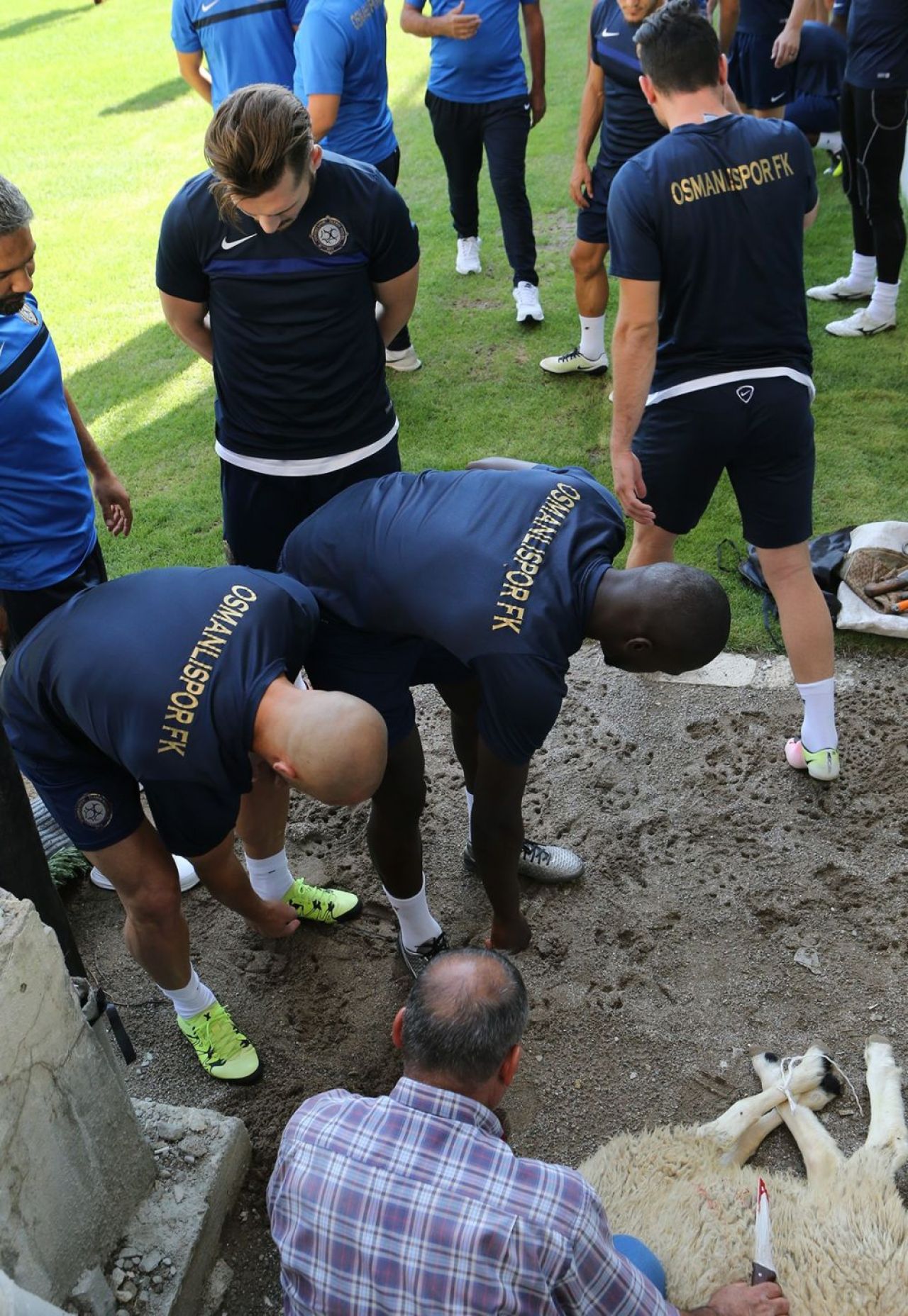 FOTO Turcii au SACRIFICAT o oaie direct pe gazon inainte de meciul cu Steaua! Becali a anuntat ca nu face deplasarea cu echipa. Osmanlispor - Steaua, joi, ProTV!_1