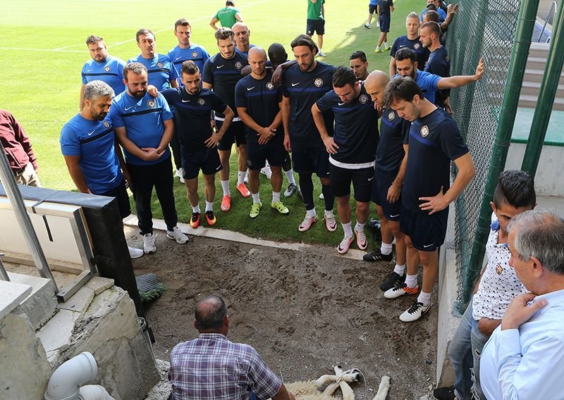 FOTO Turcii au SACRIFICAT o oaie direct pe gazon inainte de meciul cu Steaua! Becali a anuntat ca nu face deplasarea cu echipa. Osmanlispor - Steaua, joi, ProTV!_2