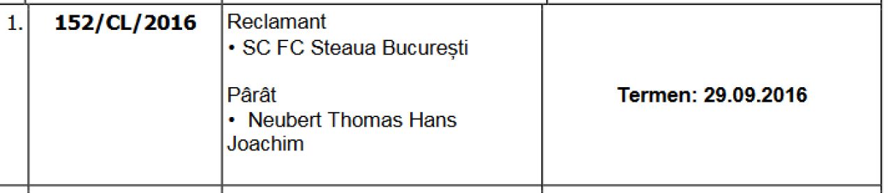 Sumudica trebuie sa isi mai astepte banii! Comisia a publicat concluziile dupa sedinta de ieri! Ce se intampla cu memoriul Stelei impotriva lui Thomas Neubert_2