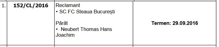 Sumudica trebuie sa isi mai astepte banii! Comisia a publicat concluziile dupa sedinta de ieri! Ce se intampla cu memoriul Stelei impotriva lui Thomas Neubert_2