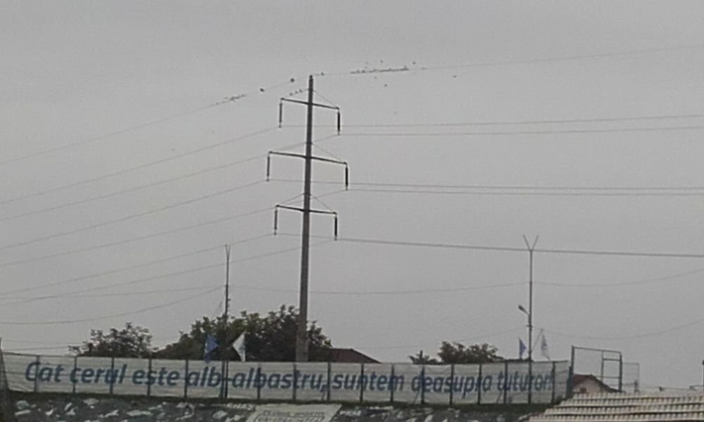 Oltenii fac orice ca sa joace meciul cu Dinamo in nocturna! Sunt gata sa darame un stalp de electricitate! Ivan: Il taiem cu drujba!