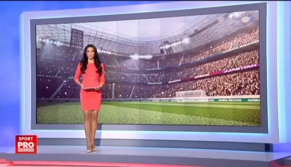 "Rasule, boratule, hotule!" Ce a scris Istvan Kovacs in raportul de arbitraj despre faza care i-a scandalizat pe jucatorii Voluntariului