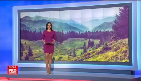 Incident socant la o cursa de atletism din America. Mai multe caprioare au intrat in plin in atleti.