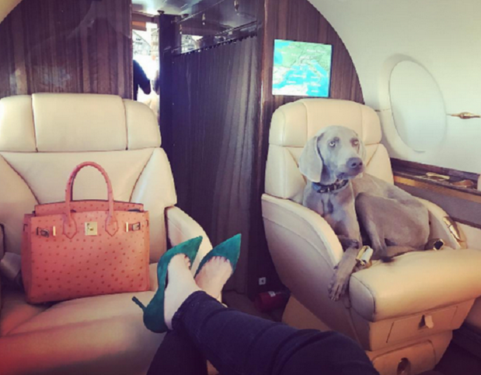 Aroganta mai mare nu se poate :) Iubita unui fotbalist a inchiriat un avion privat sa isi plimbe catelul pana in Ibiza FOTO_5