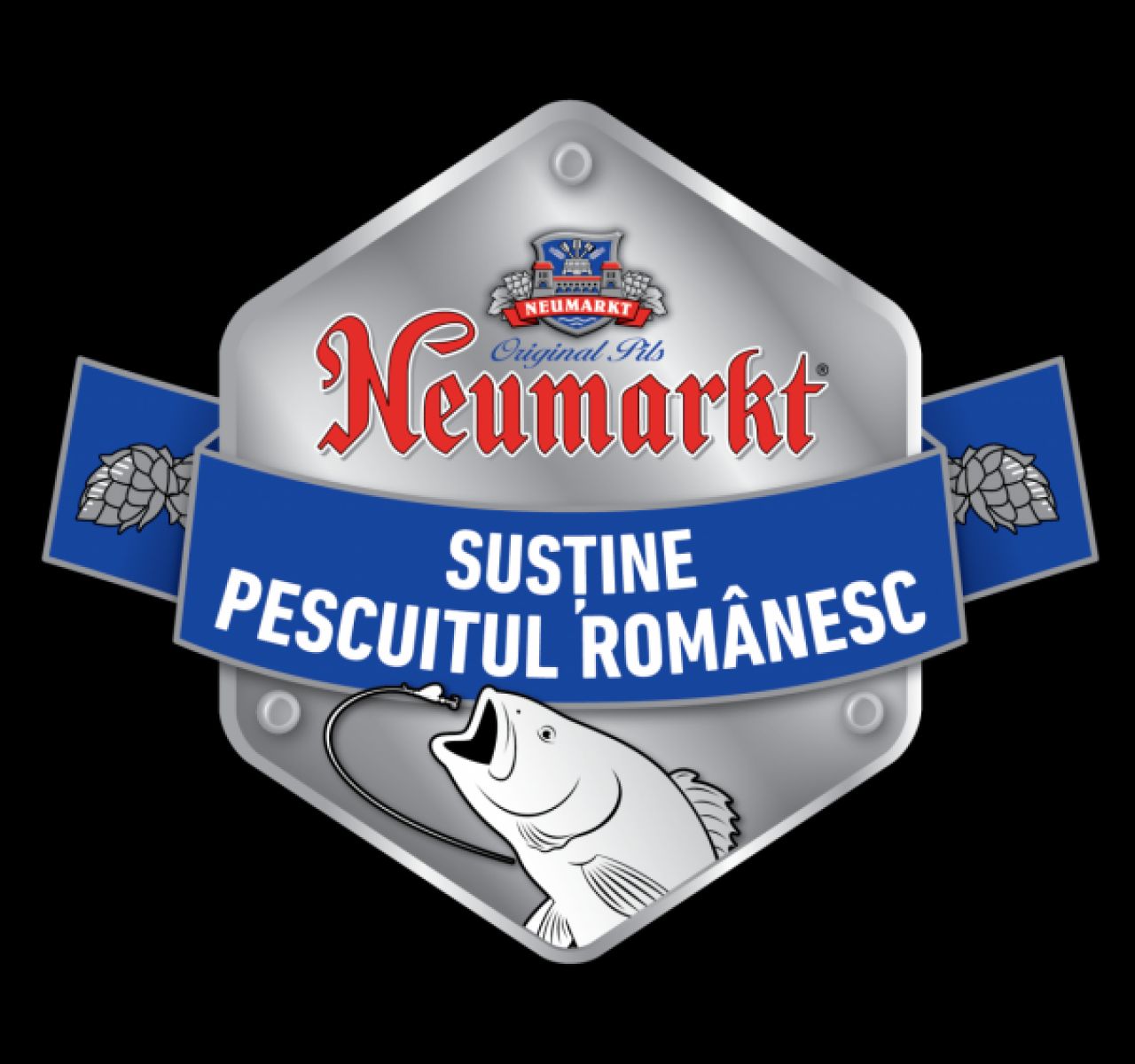 (P) Sportul la care Romania a devenit campioana mondiala chiar in Rusia!_4