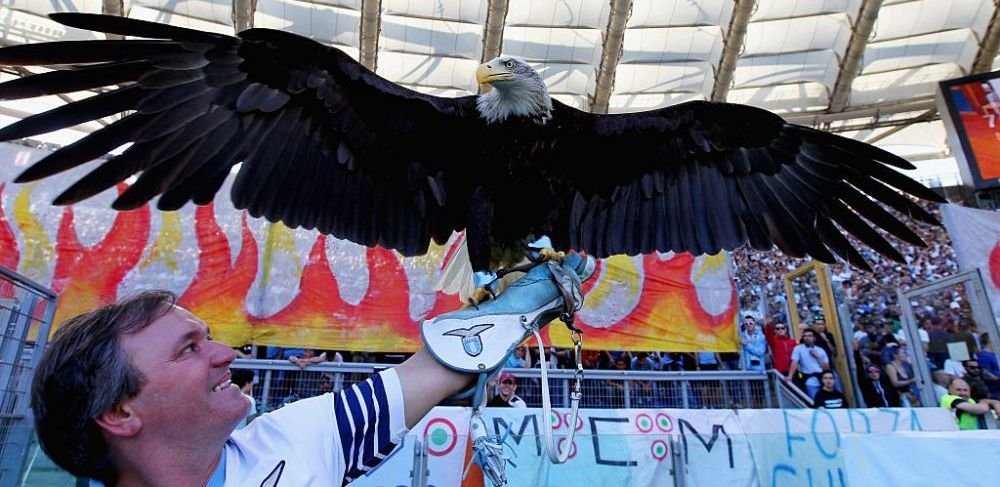 Povestea fabuloasa a vulturului de la Lazio: 125.000 &euro; pe an costa intretinerea lui si e ruda cu vulturii de la Benfica si Ludogorets