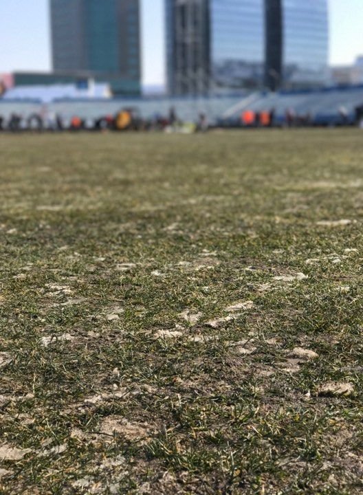 FOTO: Gheata a fost indepartata de pe gazon! Cum arata ACUM stadionul din Sibiu, cu 2 ore inainte de meci_3